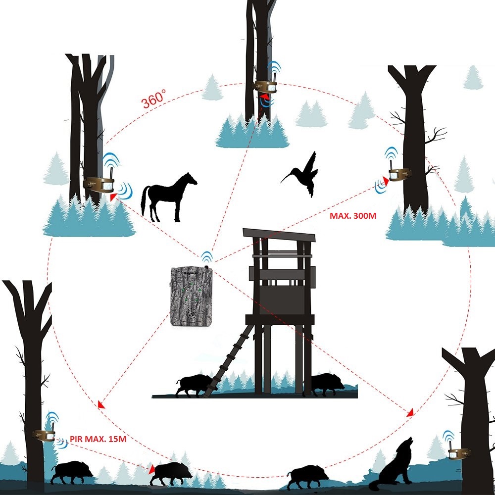 system alarmowy polowania Bestguarder w lesie