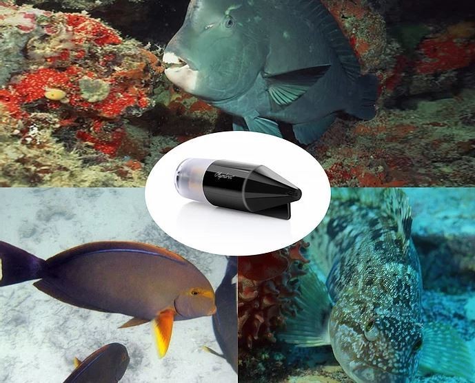 kamera podwodna dla wędkarzy